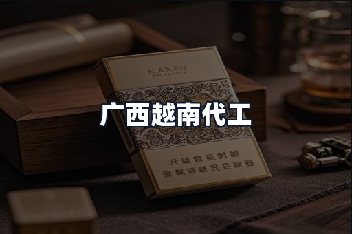 广西越南代工